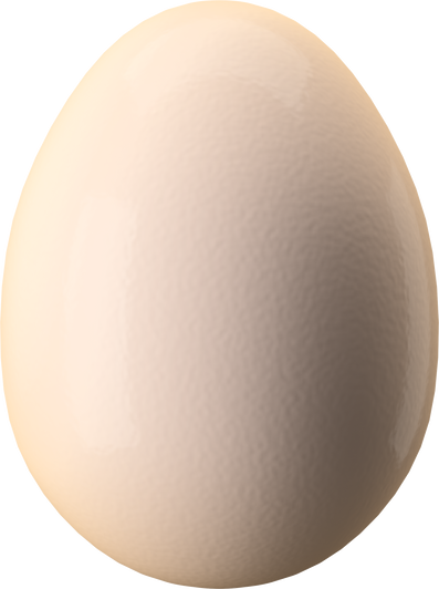 3D  Egg